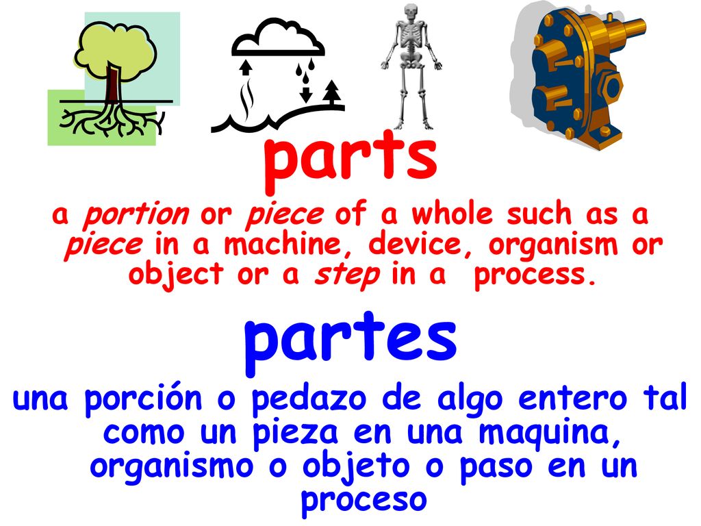parts a portion or piece of a whole such as a piece in a machine, device, organism or object or a step in a process.