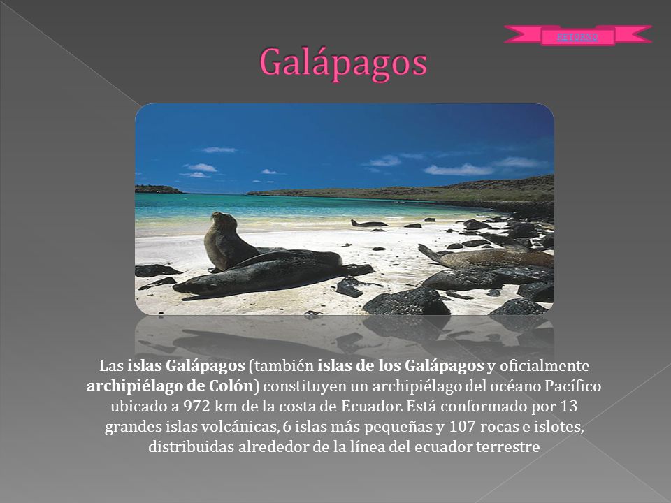 Galápagos RETORNO.