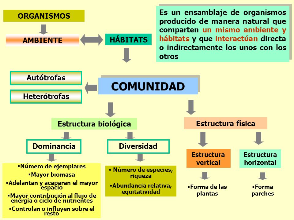 Es un ensamblaje de organismos producido de manera natural que comparten un mismo ambiente y hábitats y que interactúan directa o indirectamente los unos con los otros