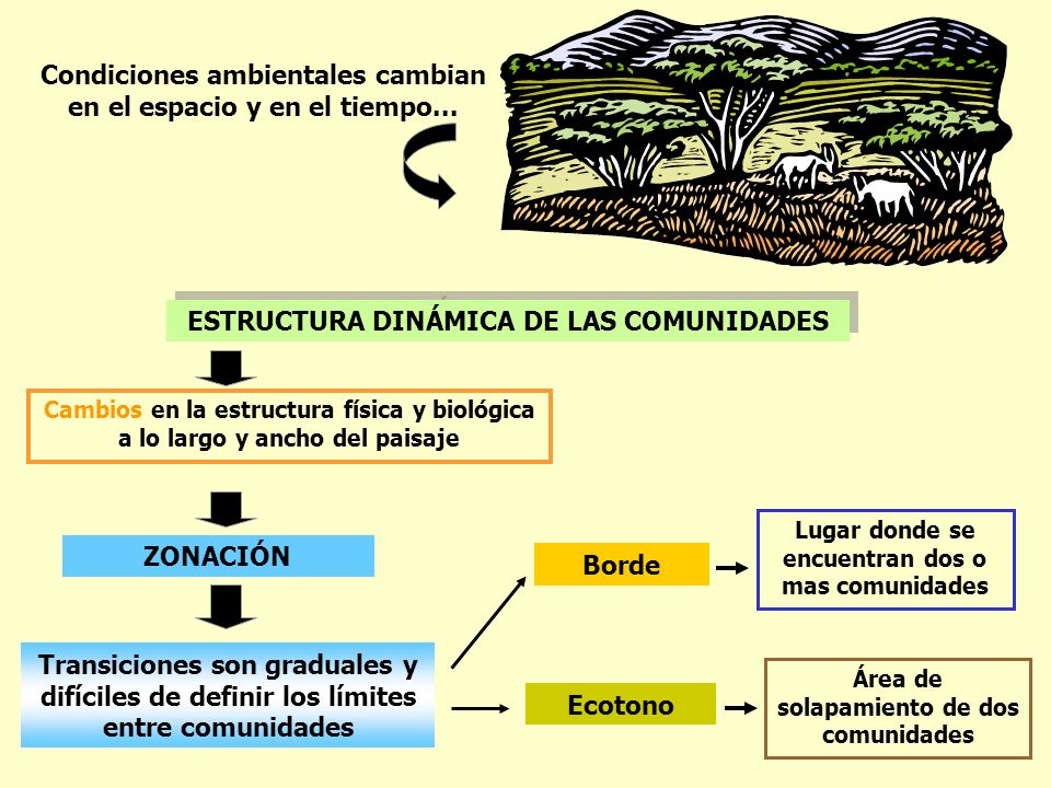 Condiciones ambientales cambian en el espacio y en el tiempo...
