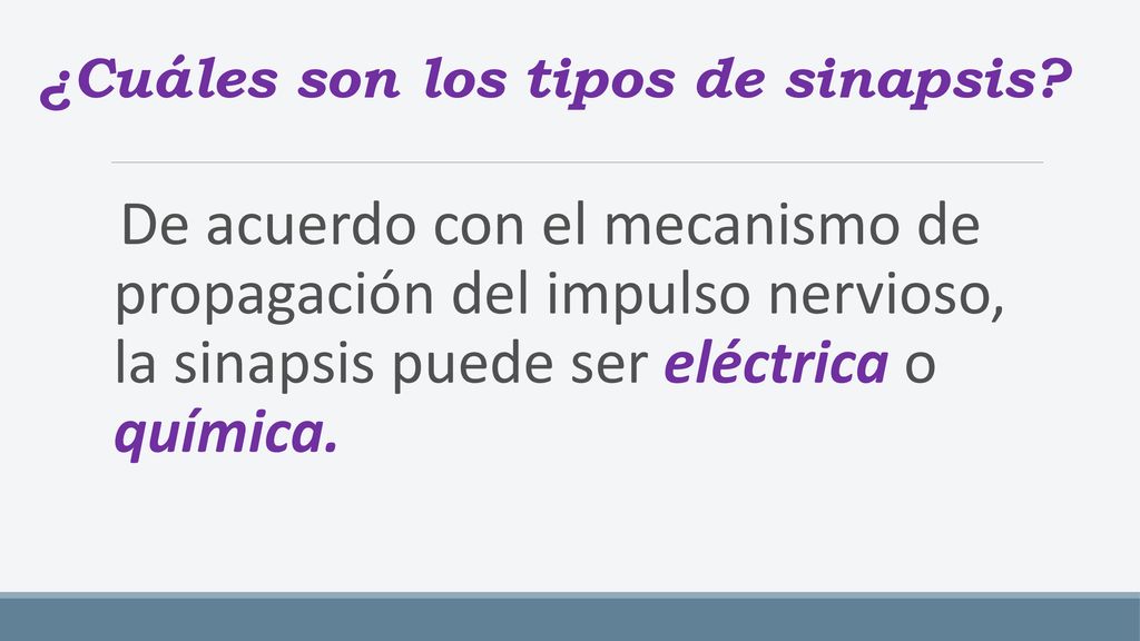 ¿Cuáles son los tipos de sinapsis