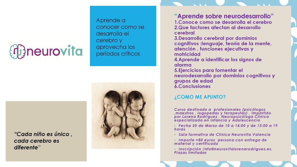Aprende a conocer como se desarrolla el cerebro y aprovecha los períodos críticos