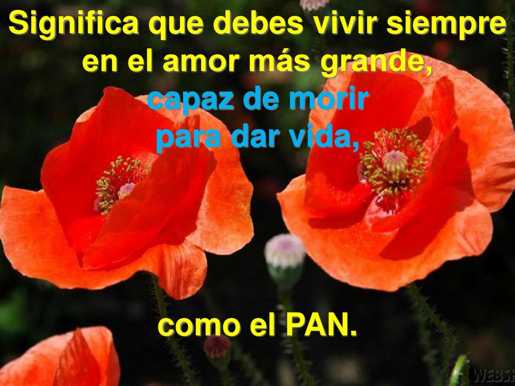 Significa que debes vivir siempre en el amor más grande,