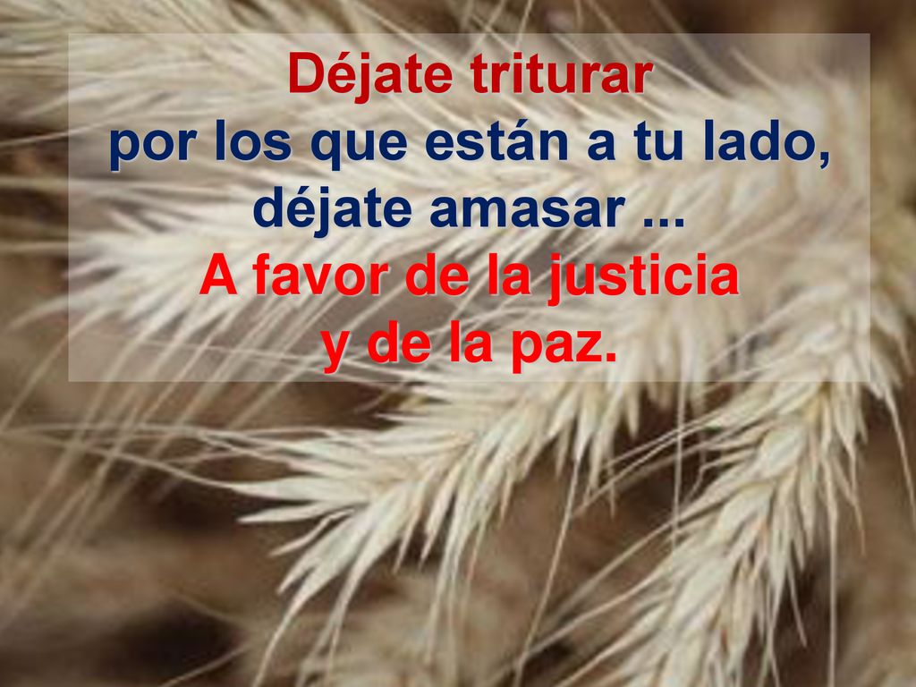 Déjate triturar por los que están a tu lado, déjate amasar