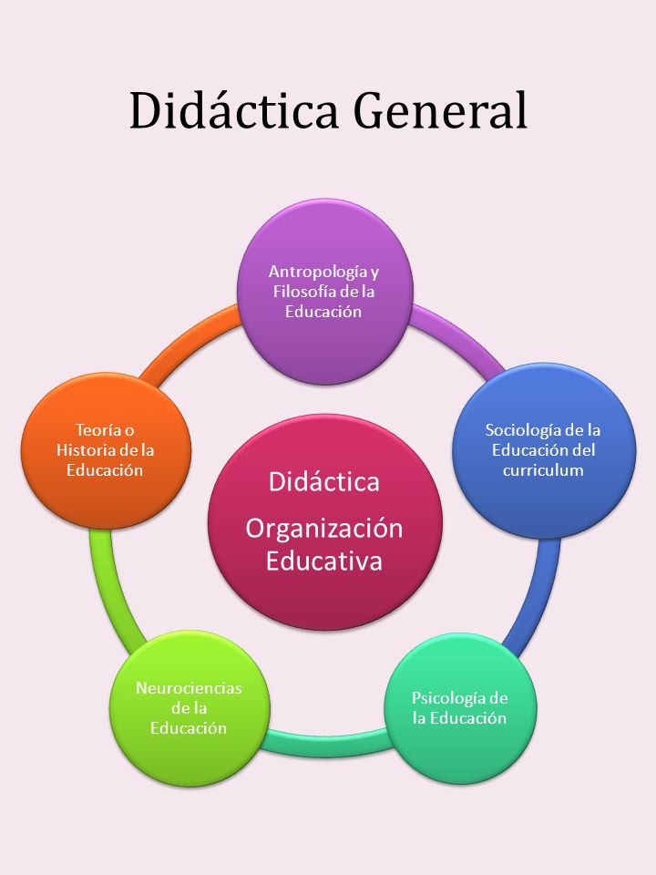Didáctica General Organización Educativa Didáctica