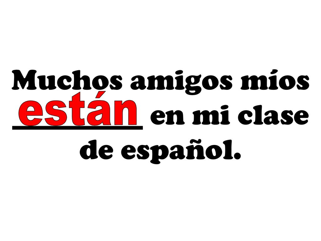 Muchos amigos míos _________ en mi clase de español.