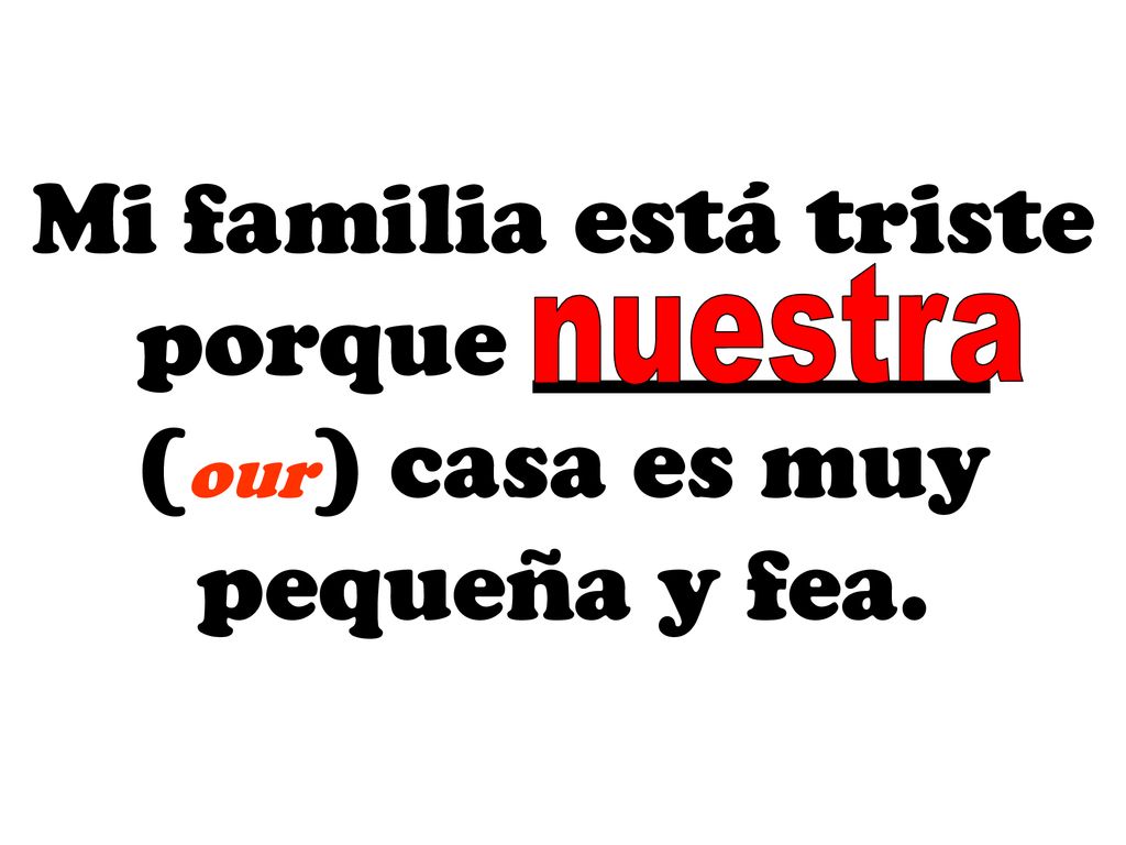 nuestra Mi familia está triste porque _________ (our) casa es muy pequeña y fea.
