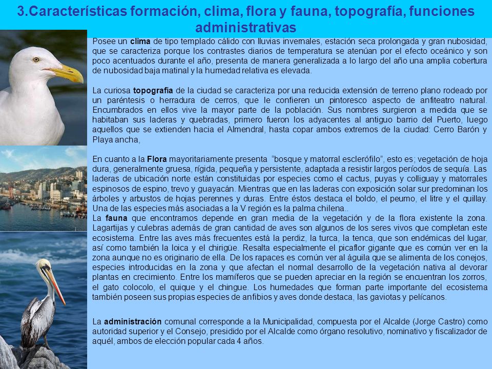 3.Características formación, clima, flora y fauna, topografía, funciones administrativas