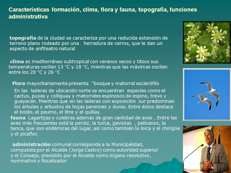 Características formación, clima, flora y fauna, topografía, funciones administrativa