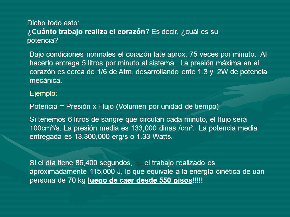 Dicho todo esto: ¿Cuánto trabajo realiza el corazón
