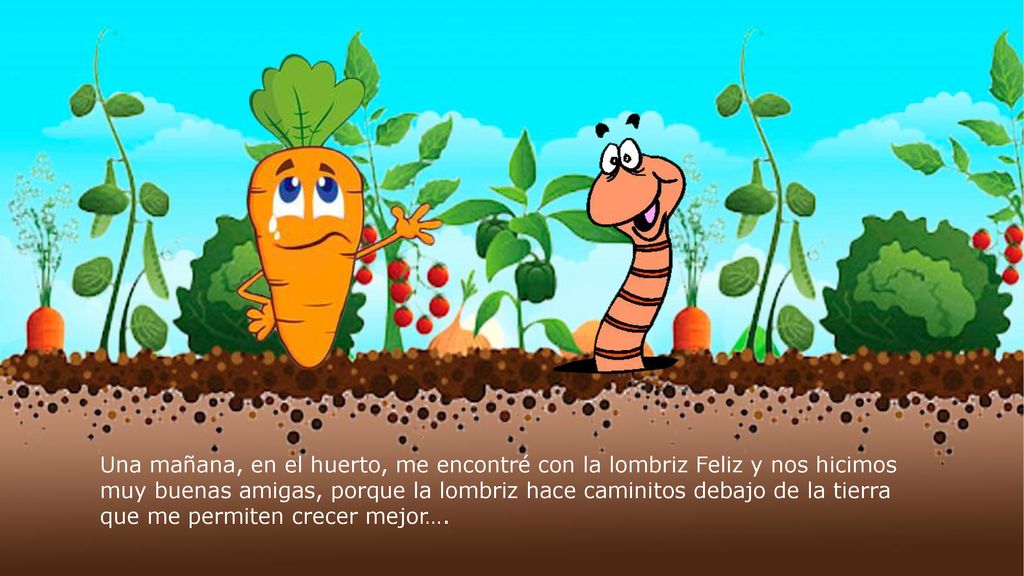 Una mañana, en el huerto, me encontré con la lombriz Feliz y nos hicimos muy buenas amigas, porque la lombriz hace caminitos debajo de la tierra que me permiten crecer mejor….