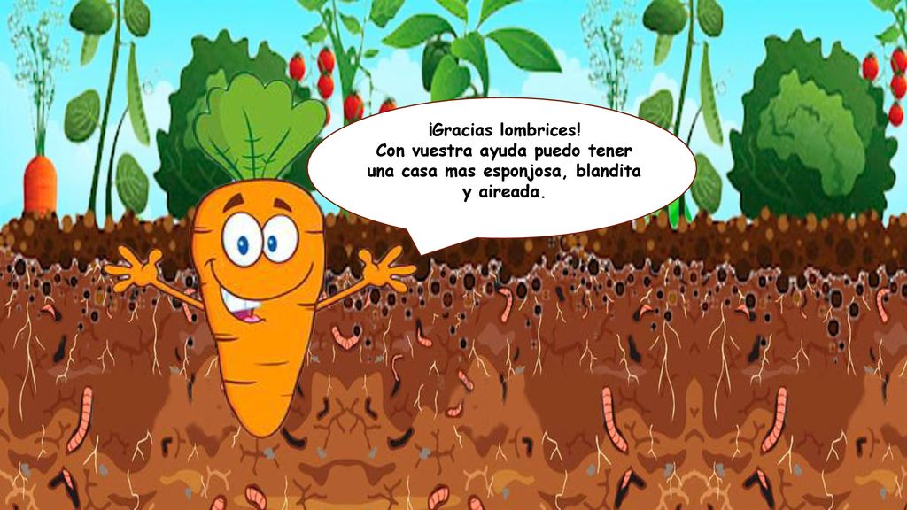 Con vuestra ayuda puedo tener una casa mas esponjosa, blandita