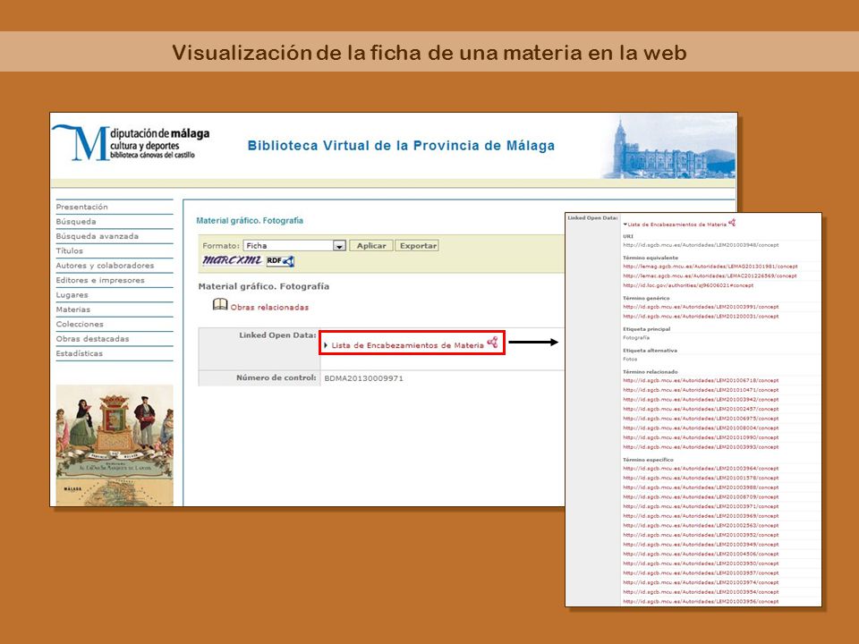 Visualización de la ficha de una materia en la web