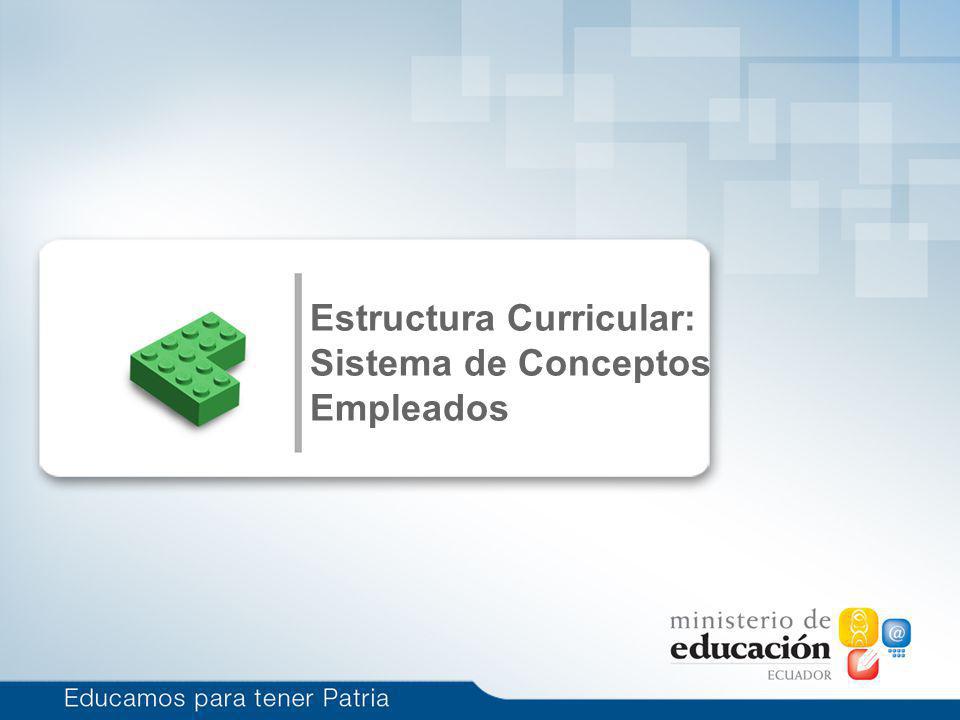 Estructura Curricular: Sistema de Conceptos Empleados