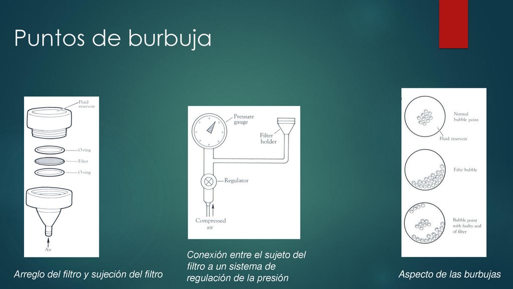 Puntos de burbuja Conexión entre el sujeto del filtro a un sistema de regulación de la presión. Arreglo del filtro y sujeción del filtro.