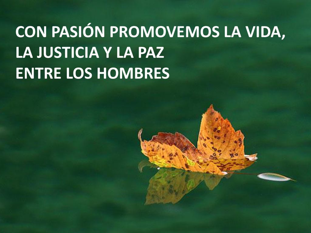CON PASIÓN PROMOVEMOS LA VIDA, LA JUSTICIA Y LA PAZ
