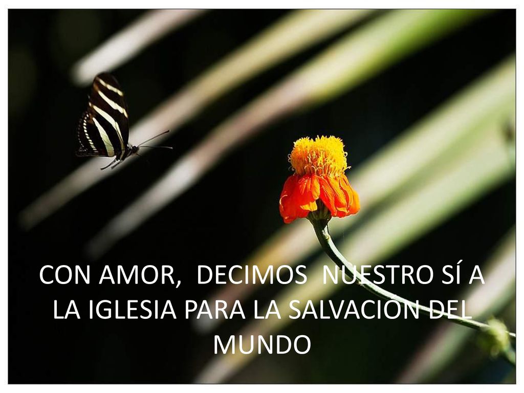 CON AMOR, DECIMOS NUESTRO SÍ A LA IGLESIA PARA LA SALVACIÓN DEL MUNDO