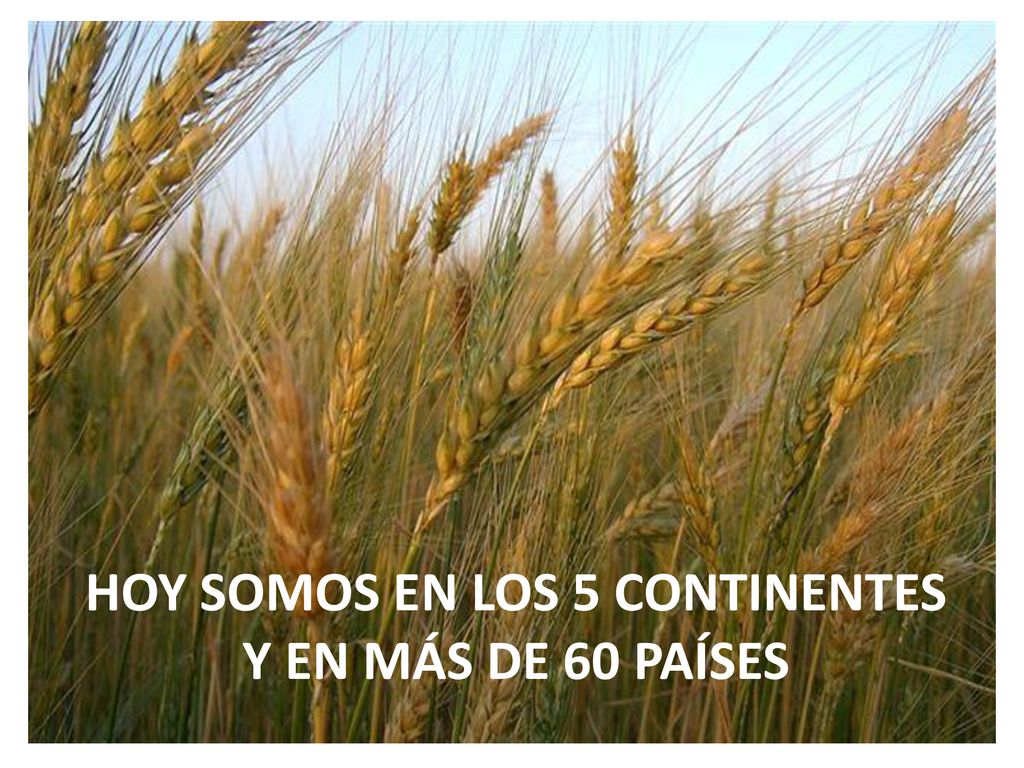 HOY SOMOS EN LOS 5 CONTINENTES Y EN MÁS DE 60 PAÍSES