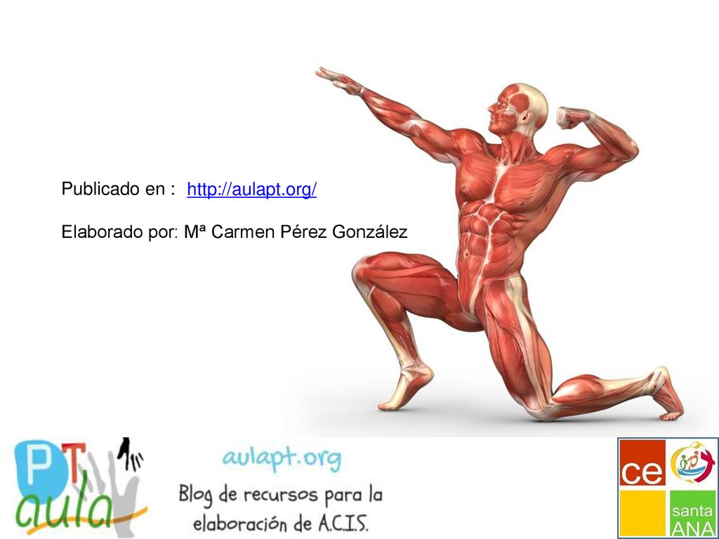 Publicado en : Elaborado por: Mª Carmen Pérez González
