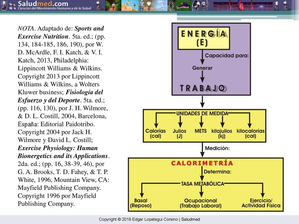 NOTA. Adaptado de: Sports and Exercise Nutrition. 5ta. ed. ; (pp