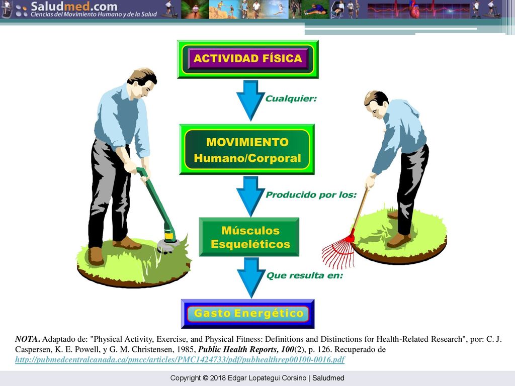 NOTA. Adaptado de: Physical Activity, Exercise, and Physical Fitness: Definitions and Distinctions for Health-Related Research , por: C. J. Caspersen, K. E. Powell, y G. M. Christensen, 1985, Public Health Reports, 100(2), p Recuperado de