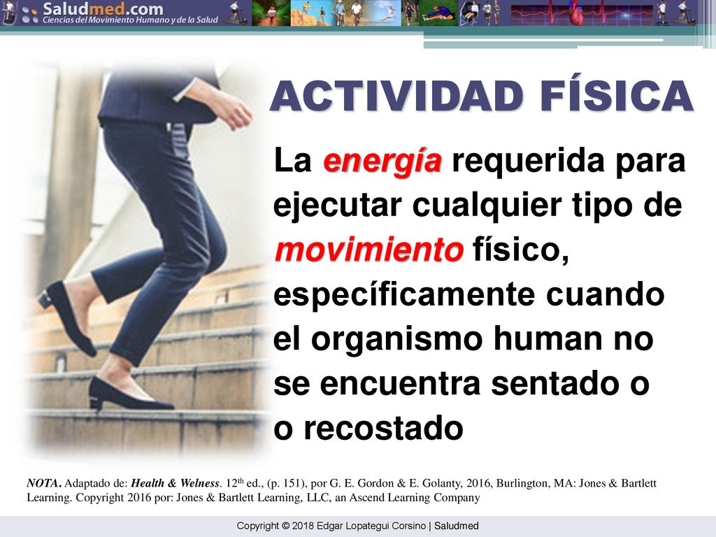 ACTIVIDAD FÍSICA La energía requerida para ejecutar cualquier tipo de