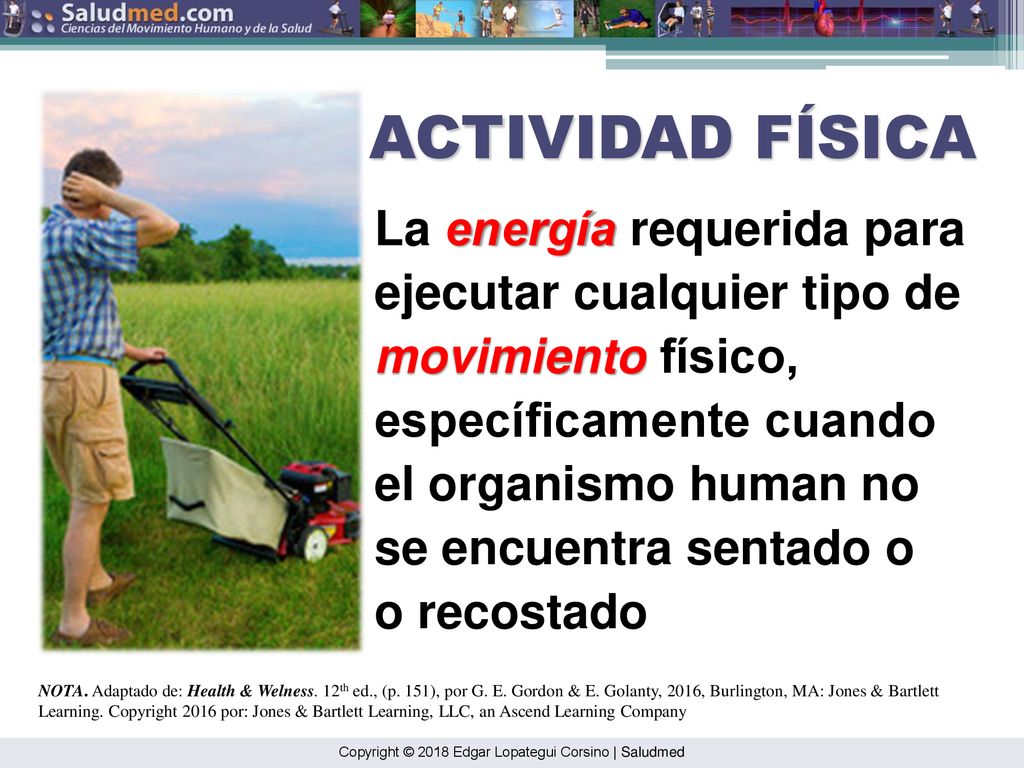 ACTIVIDAD FÍSICA La energía requerida para ejecutar cualquier tipo de