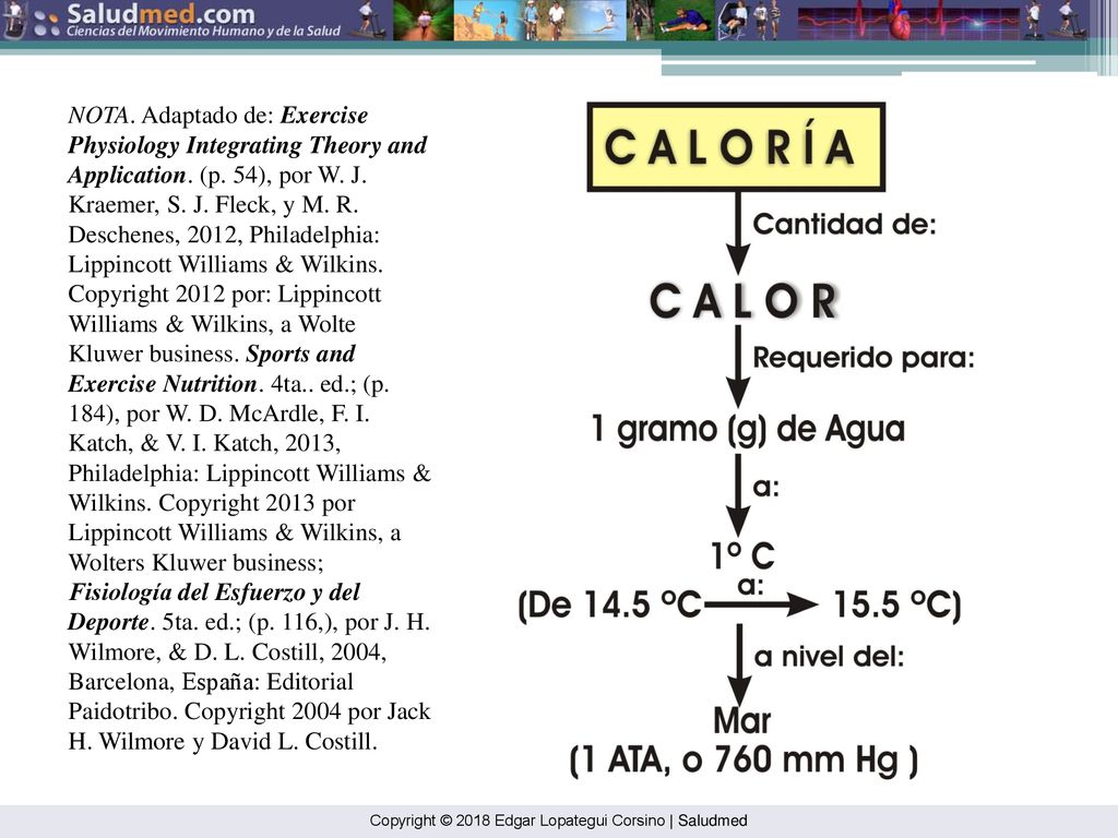 NOTA. Adaptado de: Exercise Physiology Integrating Theory and Application. (p. 54), por W. J. Kraemer, S. J. Fleck, y M. R. Deschenes, 2012, Philadelphia: Lippincott Williams & Wilkins. Copyright 2012 por: Lippincott Williams & Wilkins, a Wolte Kluwer business. Sports and Exercise Nutrition. 4ta.. ed.; (p. 184), por W. D. McArdle, F. I. Katch, & V. I. Katch, 2013, Philadelphia: Lippincott Williams & Wilkins. Copyright 2013 por Lippincott Williams & Wilkins, a Wolters Kluwer business; Fisiología del Esfuerzo y del Deporte. 5ta. ed.; (p. 116,), por J. H. Wilmore, & D. L. Costill, 2004, Barcelona, España: Editorial Paidotribo. Copyright 2004 por Jack H. Wilmore y David L. Costill.