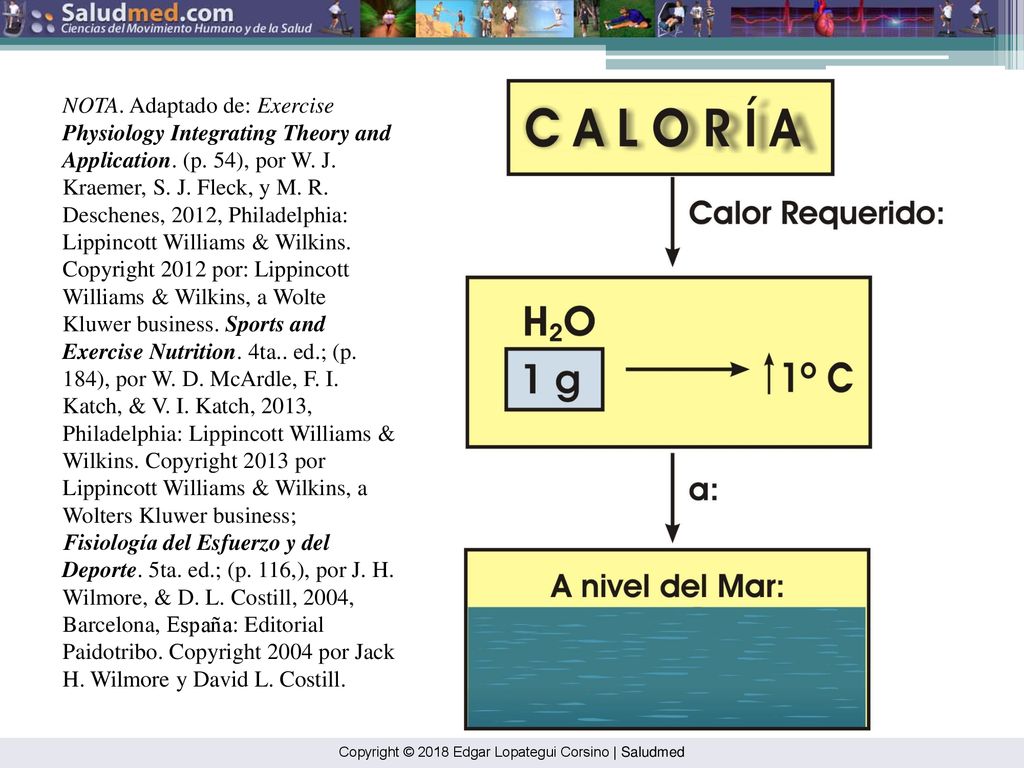 NOTA. Adaptado de: Exercise Physiology Integrating Theory and Application. (p. 54), por W. J. Kraemer, S. J. Fleck, y M. R. Deschenes, 2012, Philadelphia: Lippincott Williams & Wilkins. Copyright 2012 por: Lippincott Williams & Wilkins, a Wolte Kluwer business. Sports and Exercise Nutrition. 4ta.. ed.; (p. 184), por W. D. McArdle, F. I. Katch, & V. I. Katch, 2013, Philadelphia: Lippincott Williams & Wilkins. Copyright 2013 por Lippincott Williams & Wilkins, a Wolters Kluwer business; Fisiología del Esfuerzo y del Deporte. 5ta. ed.; (p. 116,), por J. H. Wilmore, & D. L. Costill, 2004, Barcelona, España: Editorial Paidotribo. Copyright 2004 por Jack H. Wilmore y David L. Costill.