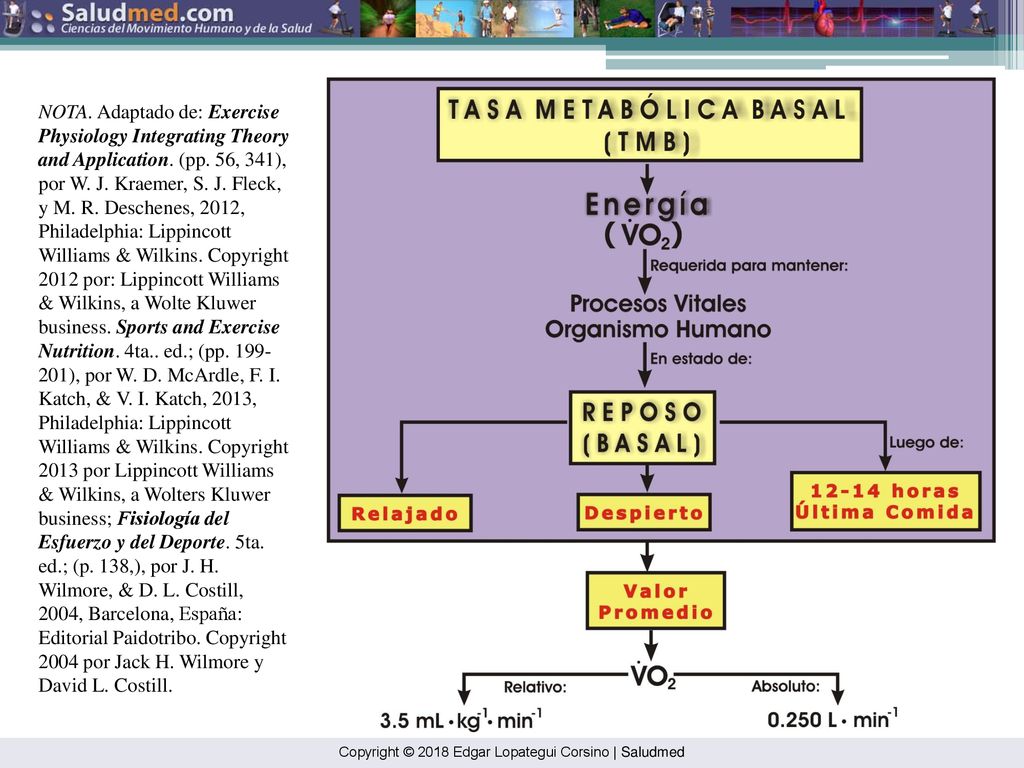 NOTA. Adaptado de: Exercise Physiology Integrating Theory and Application. (pp. 56, 341), por W. J. Kraemer, S. J. Fleck, y M. R. Deschenes, 2012, Philadelphia: Lippincott Williams & Wilkins. Copyright 2012 por: Lippincott Williams & Wilkins, a Wolte Kluwer business. Sports and Exercise Nutrition. 4ta.. ed.; (pp ), por W. D. McArdle, F. I. Katch, & V. I. Katch, 2013, Philadelphia: Lippincott Williams & Wilkins. Copyright 2013 por Lippincott Williams & Wilkins, a Wolters Kluwer business; Fisiología del Esfuerzo y del Deporte. 5ta. ed.; (p. 138,), por J. H. Wilmore, & D. L. Costill, 2004, Barcelona, España: Editorial Paidotribo. Copyright 2004 por Jack H. Wilmore y David L. Costill.
