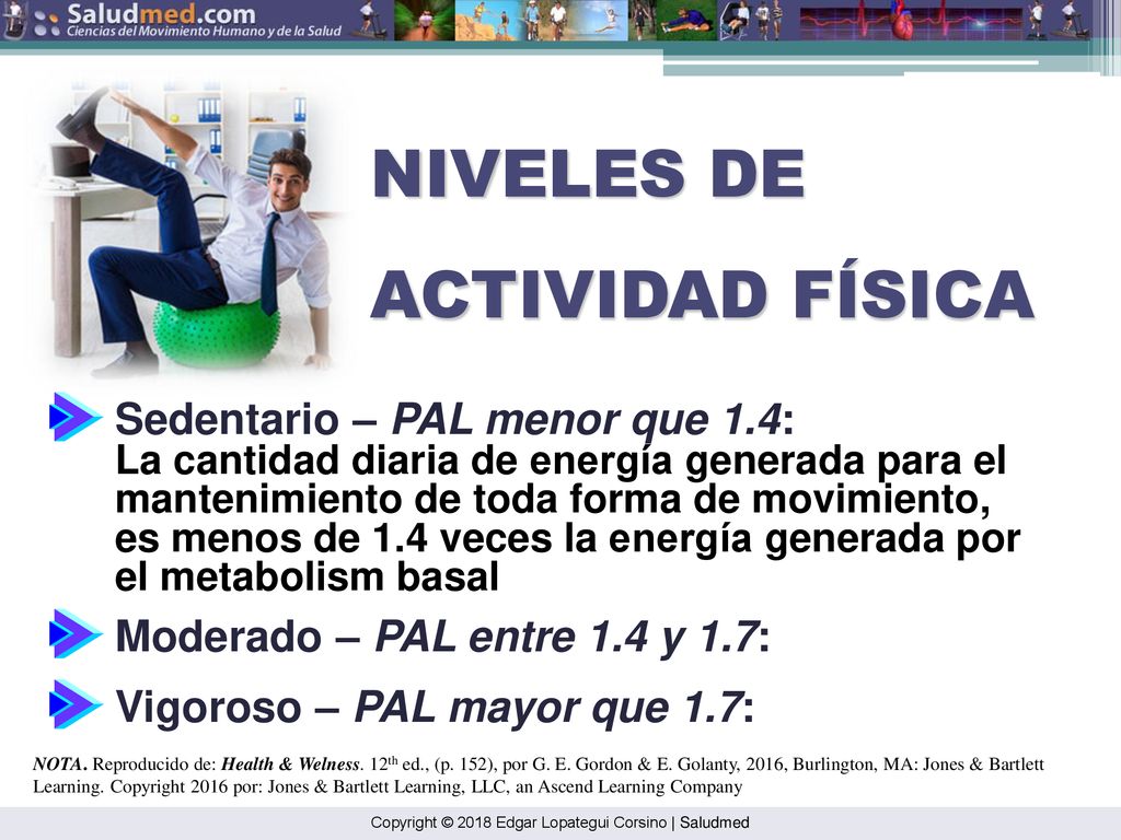 NIVELES DE ACTIVIDAD FÍSICA Sedentario – PAL menor que 1.4: