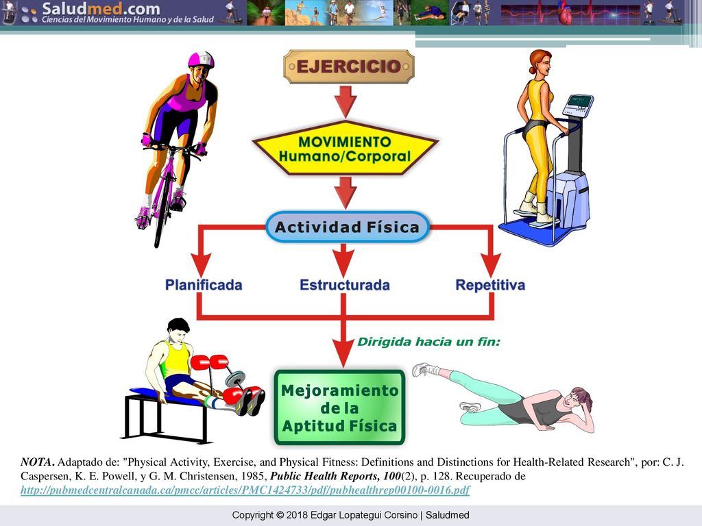 NOTA. Adaptado de: Physical Activity, Exercise, and Physical Fitness: Definitions and Distinctions for Health-Related Research , por: C. J. Caspersen, K. E. Powell, y G. M. Christensen, 1985, Public Health Reports, 100(2), p Recuperado de