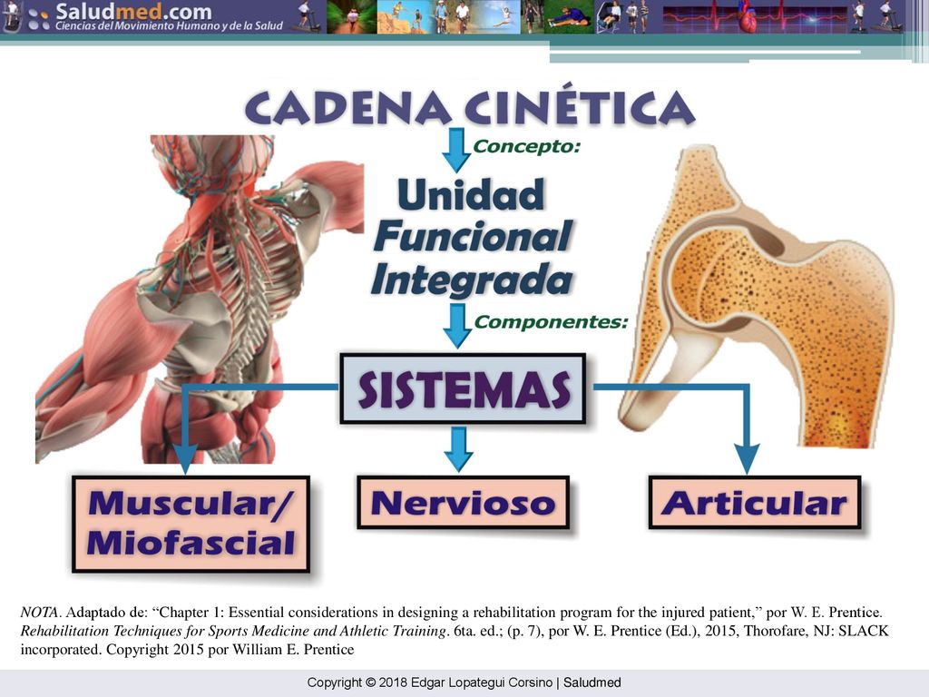 NOTA. Adaptado de: Chapter 1: Essential considerations in designing a rehabilitation program for the injured patient, por W. E. Prentice. Rehabilitation Techniques for Sports Medicine and Athletic Training. 6ta. ed.; (p. 7), por W. E. Prentice (Ed.), 2015, Thorofare, NJ: SLACK incorporated. Copyright 2015 por William E. Prentice