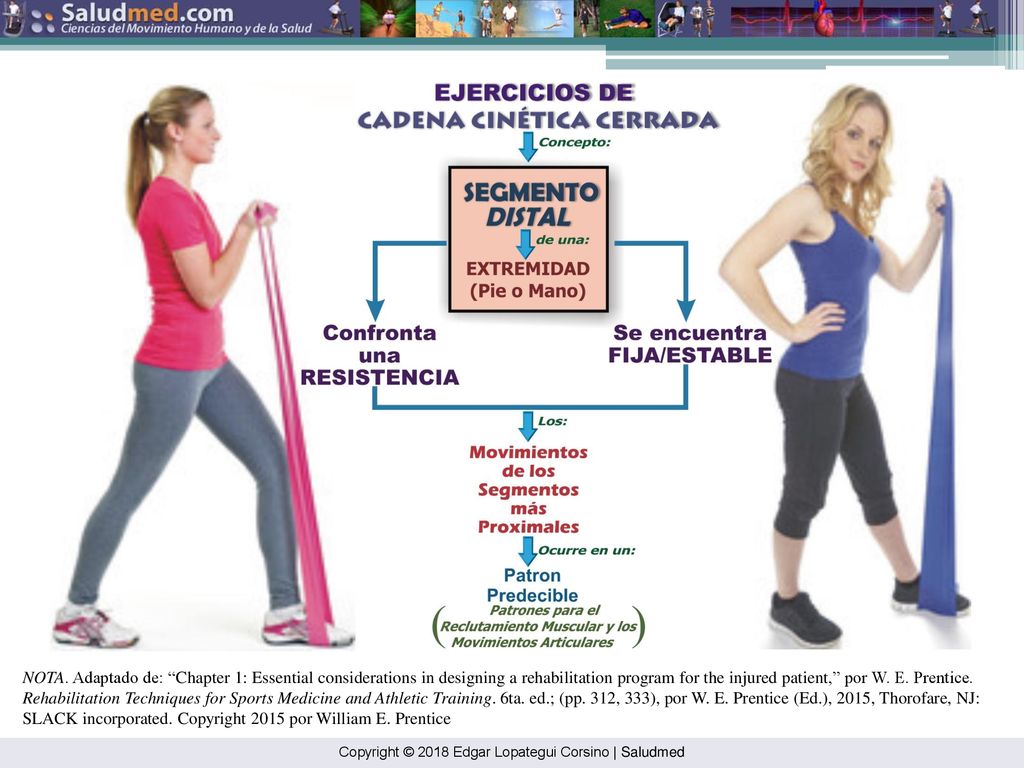 NOTA. Adaptado de: Chapter 1: Essential considerations in designing a rehabilitation program for the injured patient, por W. E. Prentice. Rehabilitation Techniques for Sports Medicine and Athletic Training. 6ta. ed.; (pp. 312, 333), por W. E. Prentice (Ed.), 2015, Thorofare, NJ: SLACK incorporated. Copyright 2015 por William E. Prentice