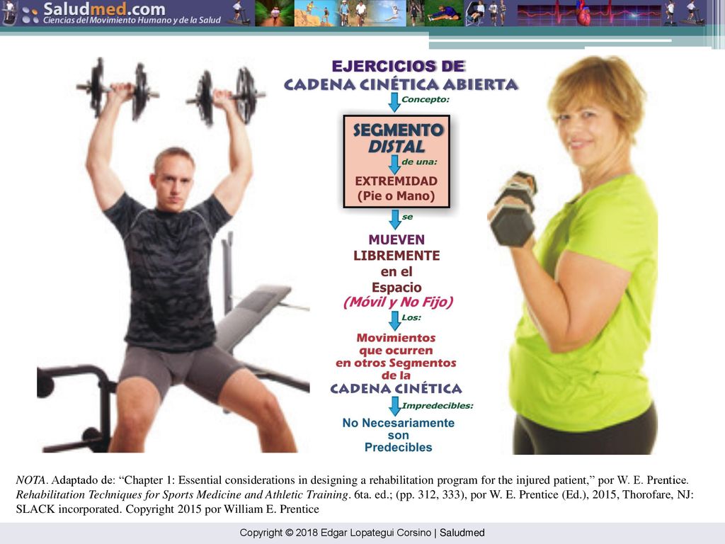 NOTA. Adaptado de: Chapter 1: Essential considerations in designing a rehabilitation program for the injured patient, por W. E. Prentice. Rehabilitation Techniques for Sports Medicine and Athletic Training. 6ta. ed.; (pp. 312, 333), por W. E. Prentice (Ed.), 2015, Thorofare, NJ: SLACK incorporated. Copyright 2015 por William E. Prentice
