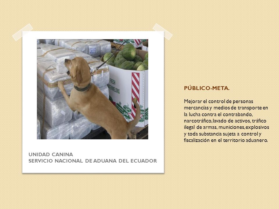 PÚBLICO-META. Mejorar el control de personas mercancías y medios de transporte en la lucha contra el contrabando, narcotráfico, lavado de activos, tráfico ilegal de armas, municiones, explosivos y toda substancia sujeta a control y fiscalización en el territorio aduanero.