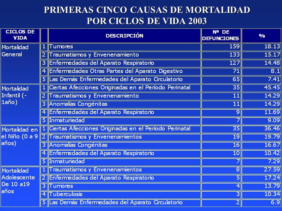 PRIMERAS CINCO CAUSAS DE MORTALIDAD POR CICLOS DE VIDA 2003