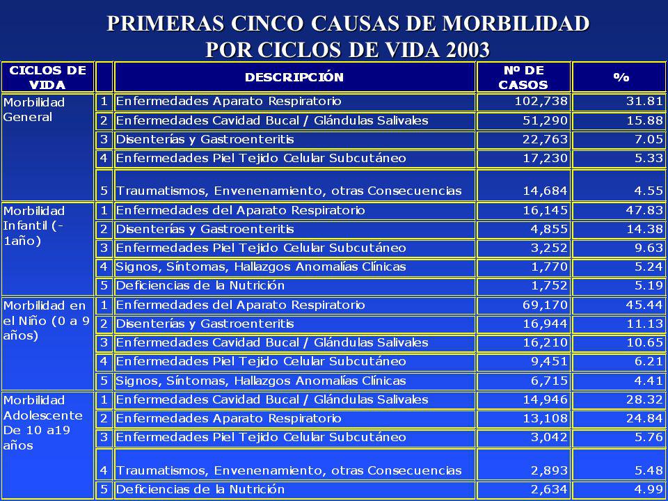 PRIMERAS CINCO CAUSAS DE MORBILIDAD POR CICLOS DE VIDA 2003