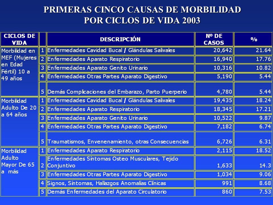 PRIMERAS CINCO CAUSAS DE MORBILIDAD POR CICLOS DE VIDA 2003