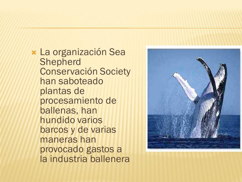 La organización Sea Shepherd Conservación Society han saboteado plantas de procesamiento de ballenas, han hundido varios barcos y de varias maneras han provocado gastos a la industria ballenera