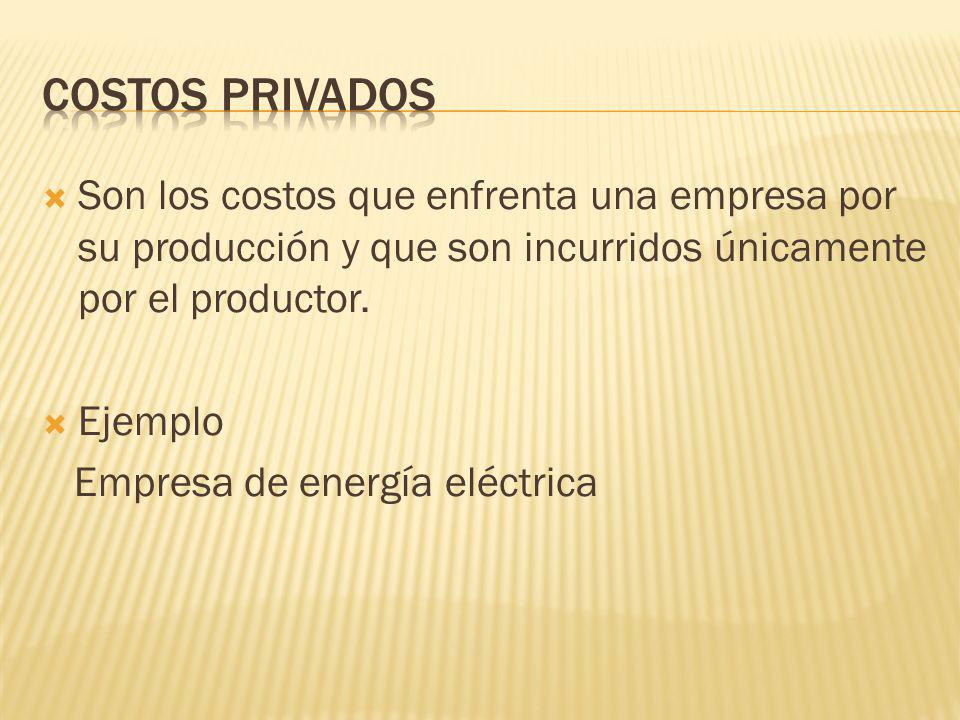 COSTOS PRIVADOS Son los costos que enfrenta una empresa por su producción y que son incurridos únicamente por el productor.
