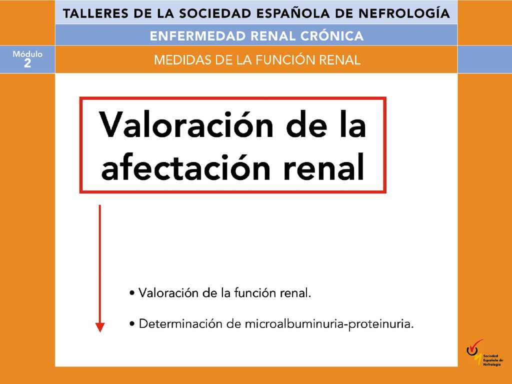 A lo largo de la presentación describiremos la valoración de la afectación renal a través de: