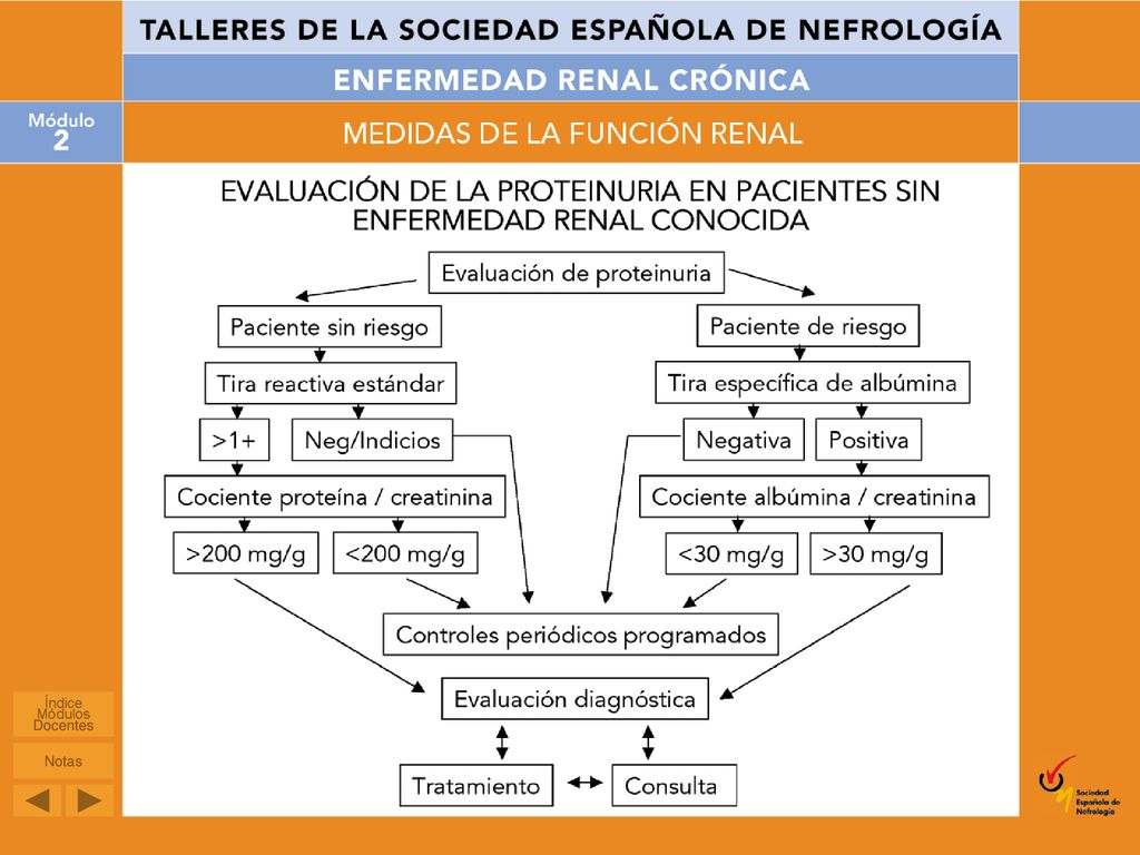 Algoritmo modificado de las guías DOQI para la evaluación del paciente sin enfermedad renal conocida.