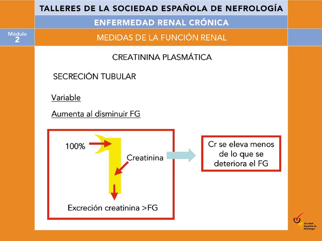 En estadios de insuficiencia renal inicial, cuando el filtrado glomerular casi es normal, una disminución en el filtrado glomerular lleva sólo a un ligero aumento de la creatinina plasmática, ya que se eleva la secreción proximal tubular de creatinina. La consecuencia es que con filtrados glomerulares ya reducidos la creatinina plasmática se encuentra dentro del marco de lo normal, por lo que una creatinina plasmática normal o casi normal no necesariamente implica que el filtrado glomerular se ha mantenido. Cuando la creatinina plasmática se eleva por encima de 2 mg/dl, entonces el proceso de secreción se satura y ya refleja algo más el filtrado glomerular.