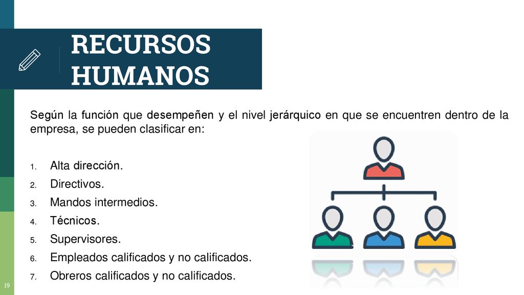 RECURSOS HUMANOS Según la función que desempeñen y el nivel jerárquico en que se encuentren dentro de la empresa, se pueden clasificar en: