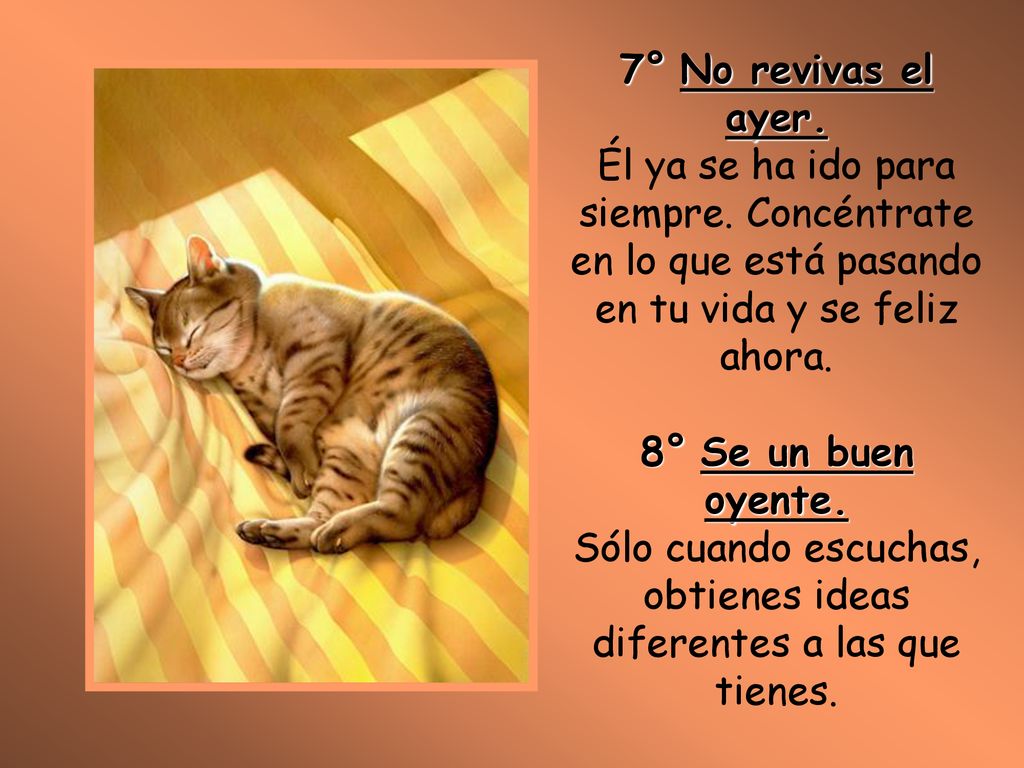 7° No revivas el ayer. Él ya se ha ido para siempre