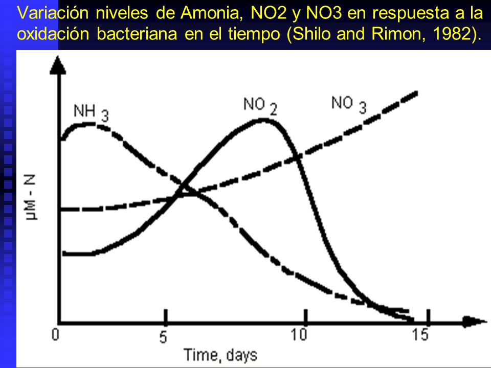 Variación niveles de Amonia, NO2 y NO3 en respuesta a la oxidación bacteriana en el tiempo (Shilo and Rimon, 1982).