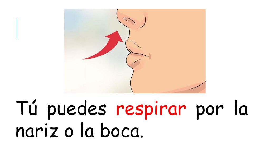 Tú puedes respirar por la nariz o la boca.
