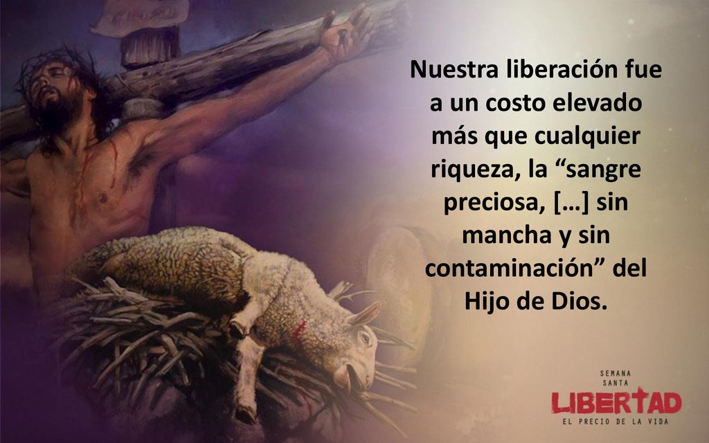 Nuestra liberación fue a un costo elevado más que cualquier riqueza, la sangre preciosa, […] sin mancha y sin contaminación del Hijo de Dios.