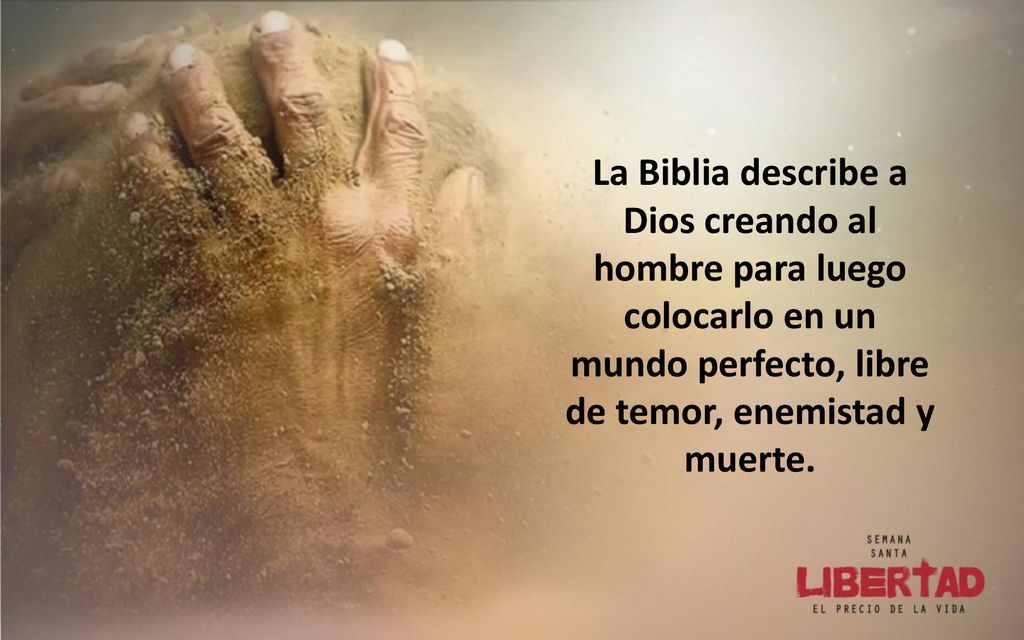 La Biblia describe a Dios creando al hombre para luego colocarlo en un mundo perfecto, libre de temor, enemistad y muerte.